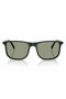 4280 6173/2 54 Men's Sunglasses - 4