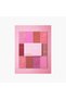 Dream Touch Blush 30gm - 2