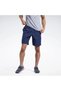 Men's Training Shorts _ 100043431 - 6