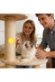 Pet Deodorizer Balls 8-Piece Natural Long-Lasting Adhesive - 3