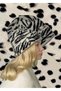 Ultra Soft Textured Zebra Beanie