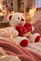 35 cm Plush Teddy Bear – White Teddy Bear with Red Heart and "I Love You" Written, Romantic Gift for Lovers - 3