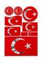 Turkish Flag Moon Star Metalized Sticker Set 8 Pieces for Automobile Motorcycle and Bicycle