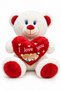 35 cm Plush Teddy Bear – White Teddy Bear with Red Heart and "I Love You" Written, Romantic Gift for Lovers