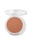 Bronzer 100 - 2