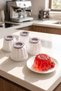 4-Piece Pudding, Magnolia, Custard, Dessert Presentation Bowl Set - 7
