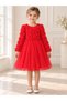Rosalia Red 3D Rose Baby Girl Birthday Party Dress Long Sleeve Monthly
