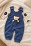 Baby Boy Set with Teddy Bear Patterned Overalls, 2-Piece Seasonal Baby Set for 3, 6, 9 Months - 2