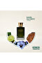 عطر بارجيلو ساحل ألكيمي Sahel Alchemy للجنسين — مجموعة نيش إليغانس — 50 مل إكستريه دي بارفوم - 4