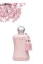 8 قطع Rose Rash Perfume 100 مل - 2