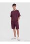 Ozmarka New Season Plum Boys' Printed Shorts