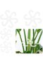 4pcs Climbing Houseplant Stem Supports with Holes,2 Sizes Flower Plant Stem Hook Stakes Trellis,Reusable Plastic Plant Stem Support Holders for Vertical Growth