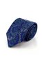 Purple Green Shawl Tie Prm146 - 5