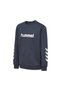 Reg Logo Kids Sweatshirt - 2