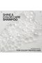 Acidic Color Gloss Sulfate-Free Shampoo|Protects Colored Hair| 300ml - 5
