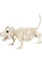 Halloween Dog Skeleton Decor, Realistic Plastic Puppy Skeleton Prop with Movable Jaw, 49cm Animal Bone Ornament for Haunted House, Graveyard, Indoor & Outdoor Halloween Yard Party Decorations - 8