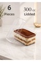 6-Piece Rectangular 300 Cc Mica Bowl with Plastic Transparent Lid Presentation Container for Dessert & Appetizers and Salad
