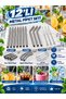 Premium 7-Piece Stainless Steel Metal Straws Set - 3 Straight, 3 Angled Straws + Cleaning Brush - 2