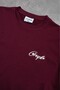 Burgundy Crupt Trace Boxy Crop Men's T-Shirt - 6