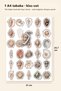 30 Pieces Classic Vintage Seashell Sticker Set - for Laptop, Notebook, Agenda - 4