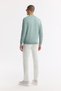 Men's Nile Green Crew Neck Textured Rayon Non-Pilling Regular Fit Knitwear Sweater A51Y5022 - 4