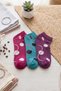 3-Piece Mixed Color Women's Cotton Patterned Seamless Towel Sole Booties Socks - Premium - 3