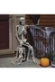 Posable Skeleton,Full Body Skeleton with Movable Joint,Life Size Skeleton Weatherproof Human Bones Body Prop for Graveyard Decor,House Haunted - 7