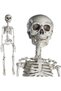 Posable Skeleton,Full Body Skeleton with Movable Joint,Life Size Skeleton Weatherproof Human Bones Body Prop for Graveyard Decor,House Haunted - 2