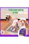 Ultimate Toilet Training Spray to Encourage Cats & Dogs Where to Defecate | Pet Inducer Spray Behavior Aid Indoor & Outdoor - All Breeds - 4