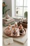 6-Piece Stylish Rose Gold Glass Spice Jar Set - Dowry Desktop Salt Shaker Set - 5
