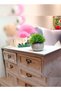 Mini Artificial Plants Set 2 Pcs Small Fake Plants for Office Kitchen Bathroom Bedroom Mantle Shelf Living Room Faux Plants in Pots Modern Farmhouse Plants Home Decor - 8