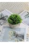 Mini Artificial Plants Set 2 Pcs Small Fake Plants for Office Kitchen Bathroom Bedroom Mantle Shelf Living Room Faux Plants in Pots Modern Farmhouse Plants Home Decor - 6