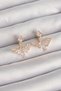 Brass Gold Color Zircon Stone V Model Earrings