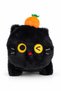 Apricot Detailed Kitten Black 35 cm - 3