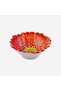 Italy Camomilla Red Ceramic Bowl 16 cm