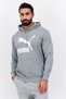 Men Sportswear Fit Long Sleeves Outdoor Sweatshirt, Grey