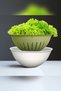 Colander with Bowl 3 L Multi-Purpose Storage and Straining Container for Vegetables, Fruits, Rice, Turquoise - 4