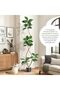 Artificial Rubber Tree, Real Touch Faux Fiddle Leaf Fig Tree with Black Resin Pot & White Stones, Tall Floor Tropical Plant Indoor Decor - 4