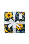 Gift box | Shawl - 2