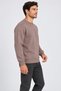 Men's Brown Crew Neck Sweatshirt 3 Yarn Soft Fabric - 7