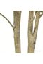 7FT Artificial Olive Tree with Black Pot, 210cm Faux Silk Olive Tree, Realistic Texture & Adjustable Branches, Maintenance-Free Greenery for Home Office Living Room Decor - 4