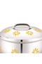 Stride Leen Stainless Steel Hotpot, Stylish Insulated Food Warmer, Keeps Food Hot for Hours, 4000ml - 2