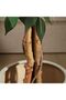 Artificial Tree, 120cm Artificial Areca Palm Ttree for Home Decoration - 3