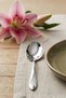 Inter Steel Mesh Model Food Spoon 12-Pack