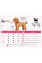 Small Breed Emerald Velvet Dog Outfit Dog Jumpsuit (1-11kg) - 2