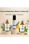 Focus Aromatherapy Set – Attention, Rosemary Essential Oil and Peppermint Essential Oil Set of 3