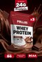 Whey Protein Powder | 24 g Protein 15 Servings | Chocolate Flavored (175 g) X 3