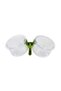 【N】Parrot Food Bowl Feeder Cup With Clip Small Pet Bird Feeder Water Bowl Bird Cage Feeder Pet Feedi - 8