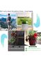 Plant Self Watering Globes,Set of 4 Colorful Watering Bulbs for Indoor and Outdoor Plants - 5