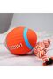 Latex Squeaky Dog Ball Toys,2 Pieces,Interactive Bouncy Fetch Balls for Small Dogs and Cats,Volleyball and American Football Shapes - 4